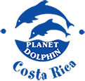 Planet Dolphin Costa Rica Logo